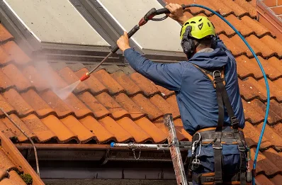 Démoussage et hydrofuge de toiture à Clérey